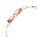 Titan Raga Chic Women's Watch Analog Rose Gold Dial with Rose Gold Stainless Steel Band, 2698WM01