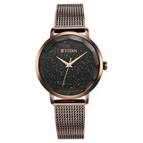 Titan Workwear Women's Analog Watch Black Dial With Brown Stainless Steel Mesh Band, 95184QM01