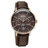 Titan Light Leathers Men's Multifunction Watch Brown Dial with Brown Leather Strap, 90200WL01