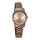 Titan Women's Watch Analog Brown Dial with Brown Stainless Steel Band, 2760QM02