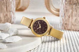 Casio Women's Watch Analog Maroon Dial with Gold Stainless Steel Band, LTP-B170G-5BVDF