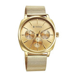 Titan Classique Men's Watch Analog Gold Dial with Gold Mesh Band, 90189YM02