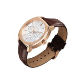 Titan Regalia Men's Analog Watch Silver Dial With Brown Leather Strap , 90213WL01