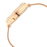 Titan Raga Moments of Joy Analog Women's Watch, Silver Dial Stainless Steel  Strap, 95134WM01