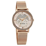Titan Purple Women's Watch Analog Pink Dial with Rose Gold Mesh Band, 95236WM03