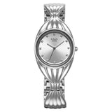 Titan Raga Women's Watch Analog Silver Dial with Silver Stainless Steel Band, 95254SM01