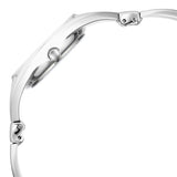 Titan Raga Women's Watch Analog Silver Dial with Silver Stainless Steel Band, 95254SM01