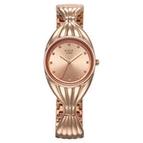 Titan Raga Women's Watch Analog Rose Gold Dial with Rose Gold Stainless Steel Band, 95254WM01