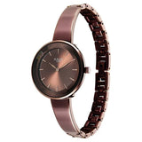 Titan Raga Women's Analog Watch Brown Dial With Brown Stainless Steel Strap , 95276QM01