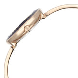 Titan Raga Women's Watch Analog Purple Dial with Rose Gold Stainless Steel Band, 95276WM01