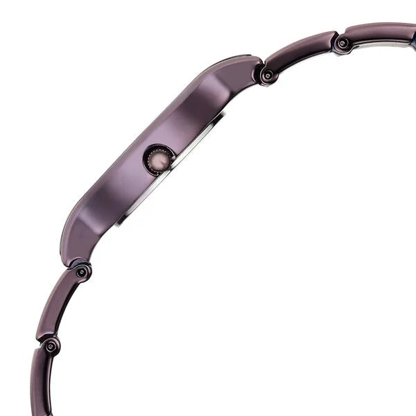 Titan Raga Quartz Analog Women's Watch With Brown Dial and Brown Stainless Steel Strap,95328QM01