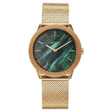 Titan TI-95331WM01 green dial women watch
