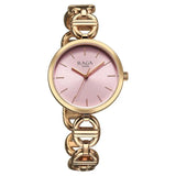 Titan Raga Women's Analog Watch Pink Dial With Rose Gold Stainless Steel Strap , 95353WM01