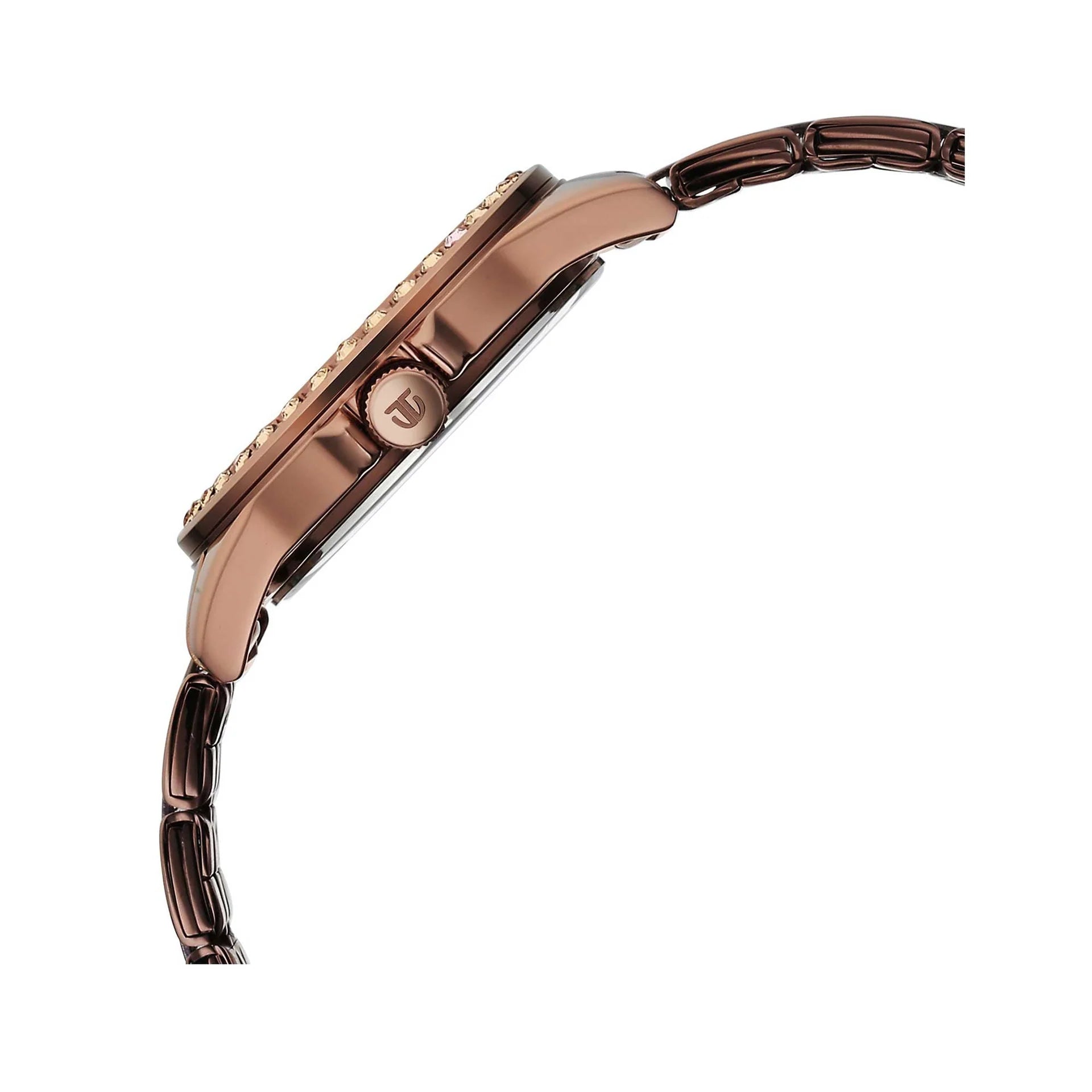 Titan Purple Women's Analog Watch Brown Dial With Brown Stainless Steel Band, 9798QM01