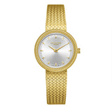 Lee Cooper Women's Watch Analog Silver Dial with Gold Mesh Band, LC08136.130