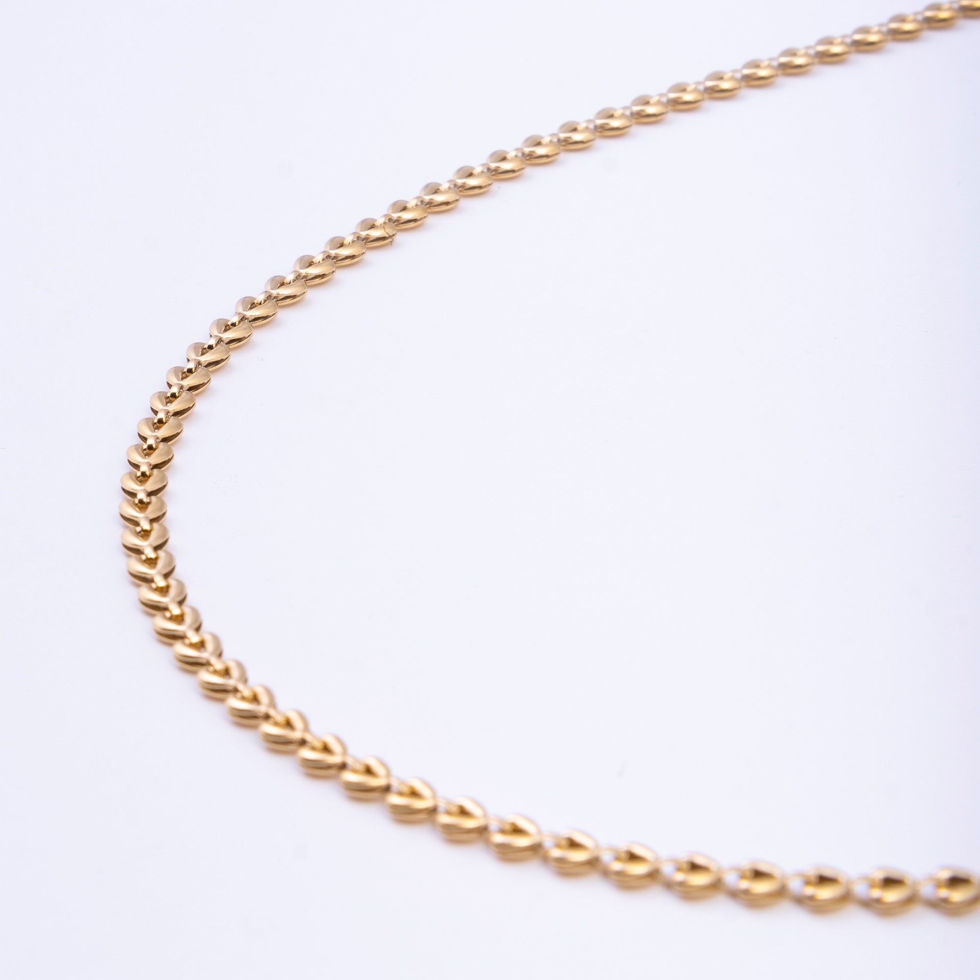 Lee Cooper Women's Necklace - Gold