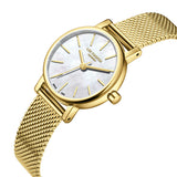 Lee Cooper, Men's, Analog Watch, LE-LC08292.120