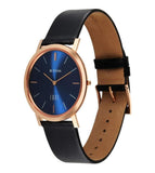 Titan Men's Analog Watch, Blue Dial with Leather Strap, 1595YL07