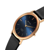Titan Men's Analog Watch, Blue Dial with Leather Strap, 1595YL07