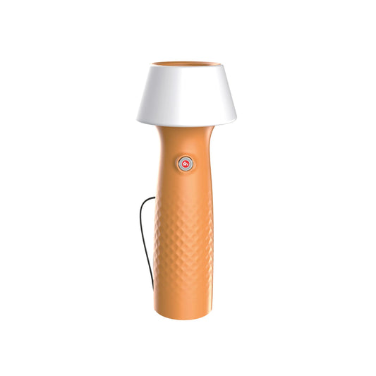 Mr.Light Rechargeable Flashlight MRGD007 Bright rechargeable LED lighting for home and outdoor use