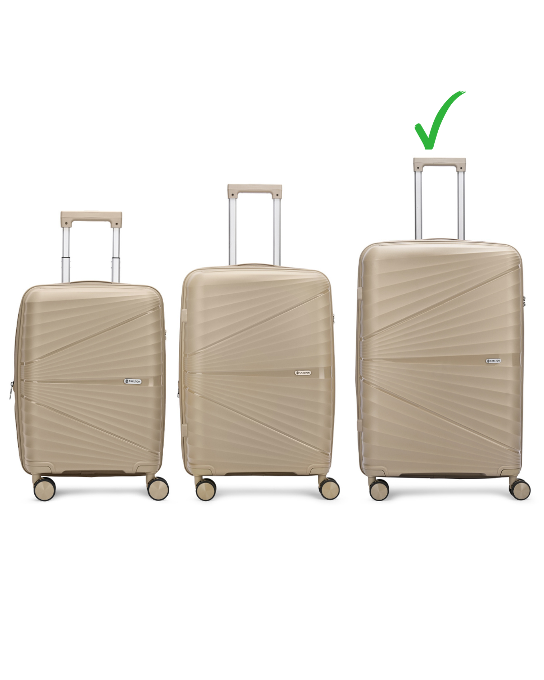 Carlton Hertford 76cm 8 Wheel Hard Top Trolley-Champagne, HERTFORD76CPA