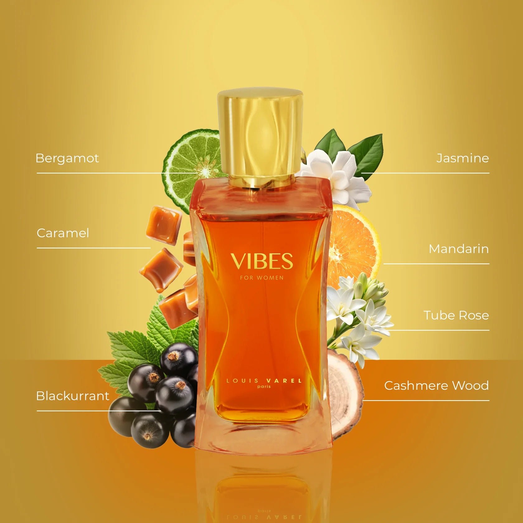 Louis Varel Vibes For Women EDP 100ml, ZVIBESW.50