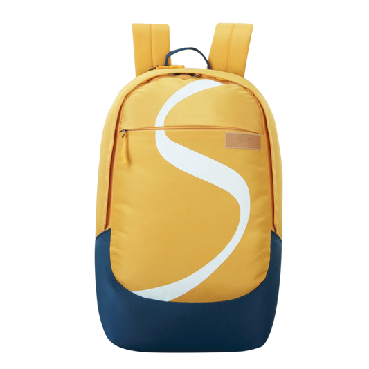 Skybags backpack